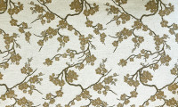 Hanami